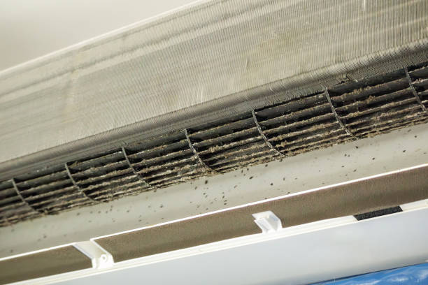 Best Air Vent Cleaning Services  in Claypool Hill, VA